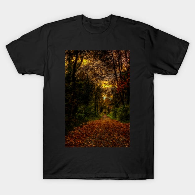 An Autumn Countryside Walk T-Shirt by axp7884